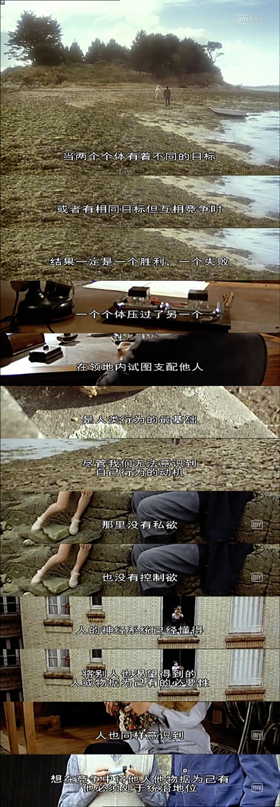 我的美国舅舅剧照的剧照