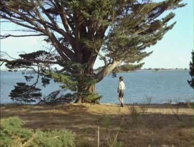 我的美国舅舅剧照的剧照