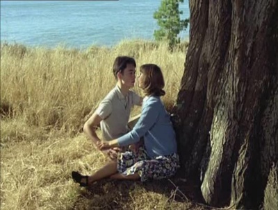 我的美国舅舅剧照的剧照