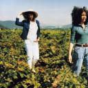 秋天的故事剧照