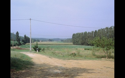 秋天的故事剧照的剧照