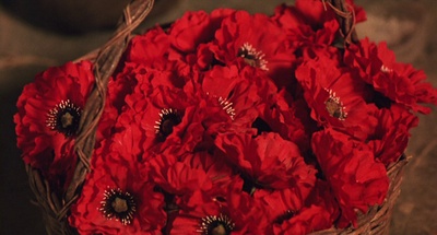 卡拉瓦乔剧照的剧照