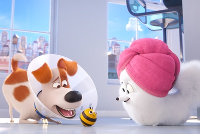 爱宠大机密2剧照的剧照