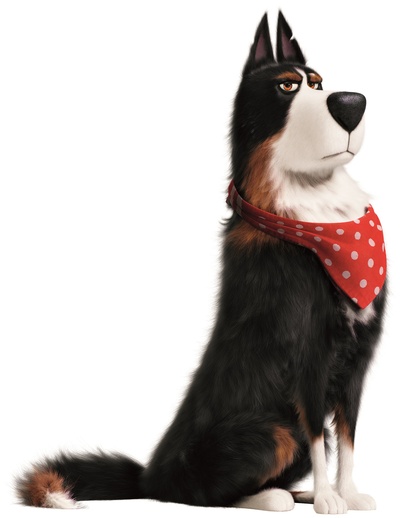 爱宠大机密2剧照的剧照