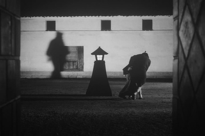 心中天网岛剧照的剧照