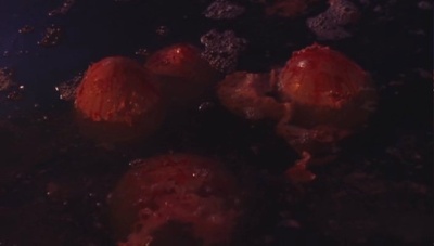 食人巨蚊剧照的剧照