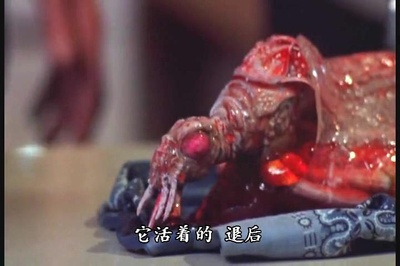 食人巨蚊剧照的剧照