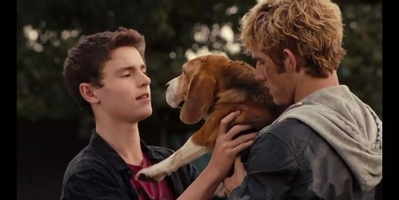 关键第四号剧照的剧照