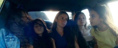 野马剧照的剧照