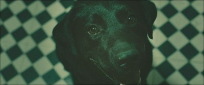 边境风云剧照的剧照