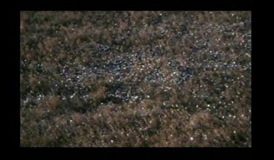 战争子午线剧照的剧照