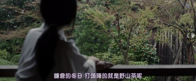 投靠女与出走男剧照的剧照