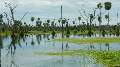 扎马剧照的剧照
