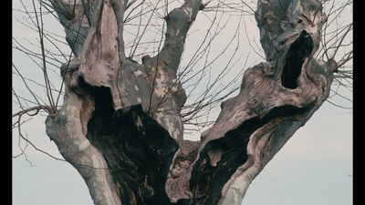 天涯沦落女剧照的剧照