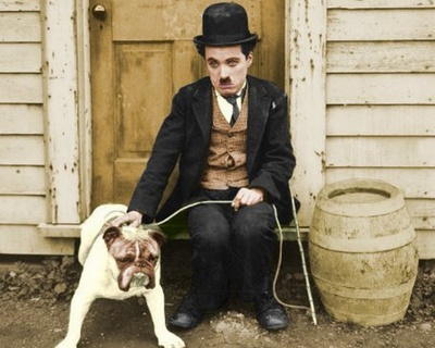 冠军剧照的剧照