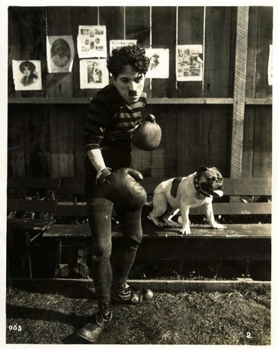 冠军剧照的剧照