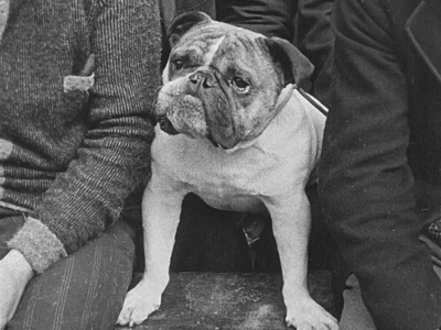 冠军剧照的剧照