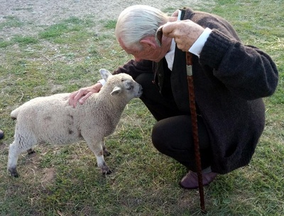 福尔摩斯先生剧照的剧照