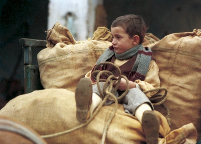 木屐树剧照的剧照