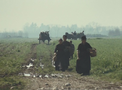 木屐树剧照的剧照