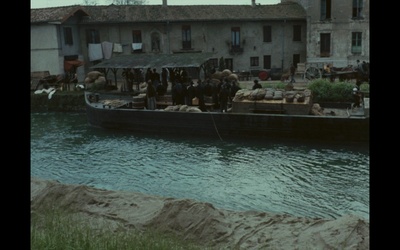 木屐树剧照的剧照