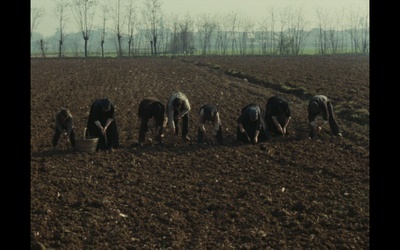 木屐树剧照的剧照