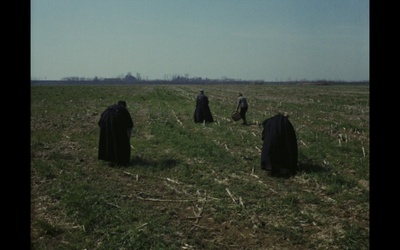 木屐树剧照的剧照