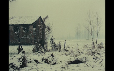 木屐树剧照的剧照