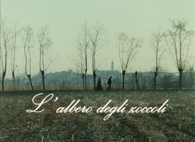 木屐树剧照的剧照