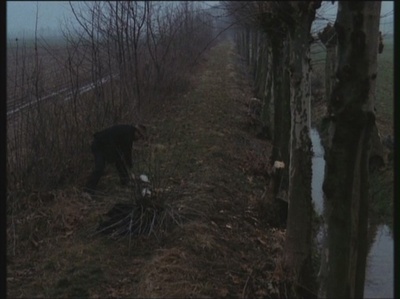 木屐树剧照的剧照