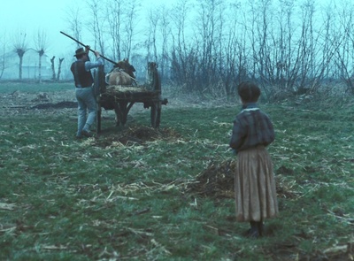 木屐树剧照的剧照