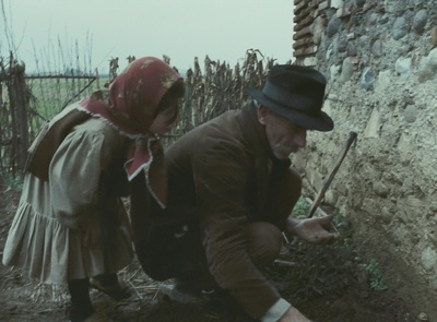 木屐树剧照的剧照