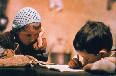 木屐树剧照的剧照