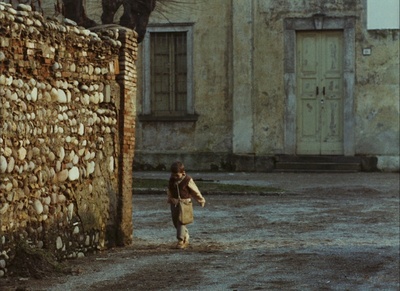 木屐树剧照的剧照