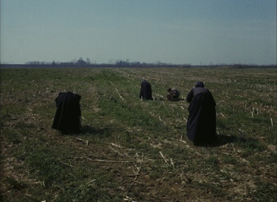 木屐树剧照的剧照