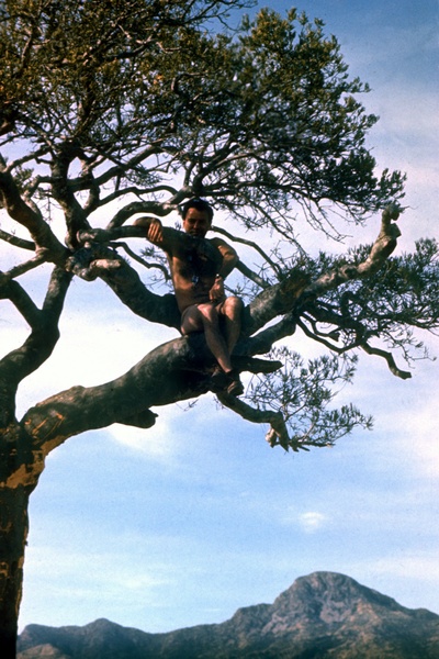 第二十二条军规剧照的剧照