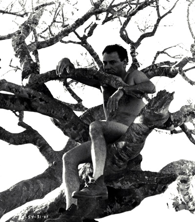 第二十二条军规剧照的剧照