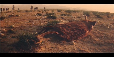 巴德山神话剧照的剧照