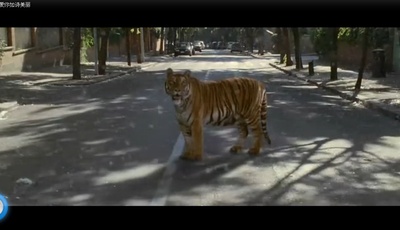 爱你如诗美丽剧照的剧照