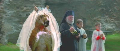 爱你如诗美丽剧照的剧照