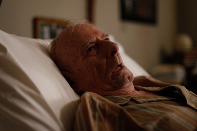 克罗地亚宪法剧照的剧照