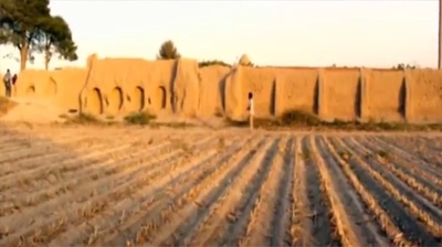 无人知晓的波斯猫剧照的剧照