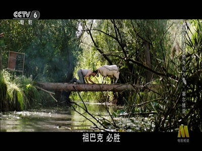 牛奶配送员的奇幻人生剧照的剧照