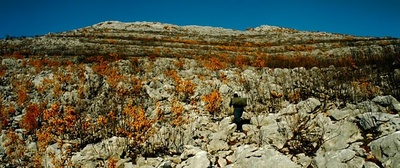 牛奶配送员的奇幻人生剧照的剧照