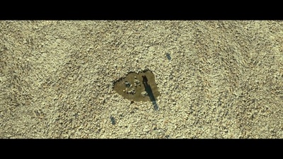 牛奶配送员的奇幻人生剧照的剧照