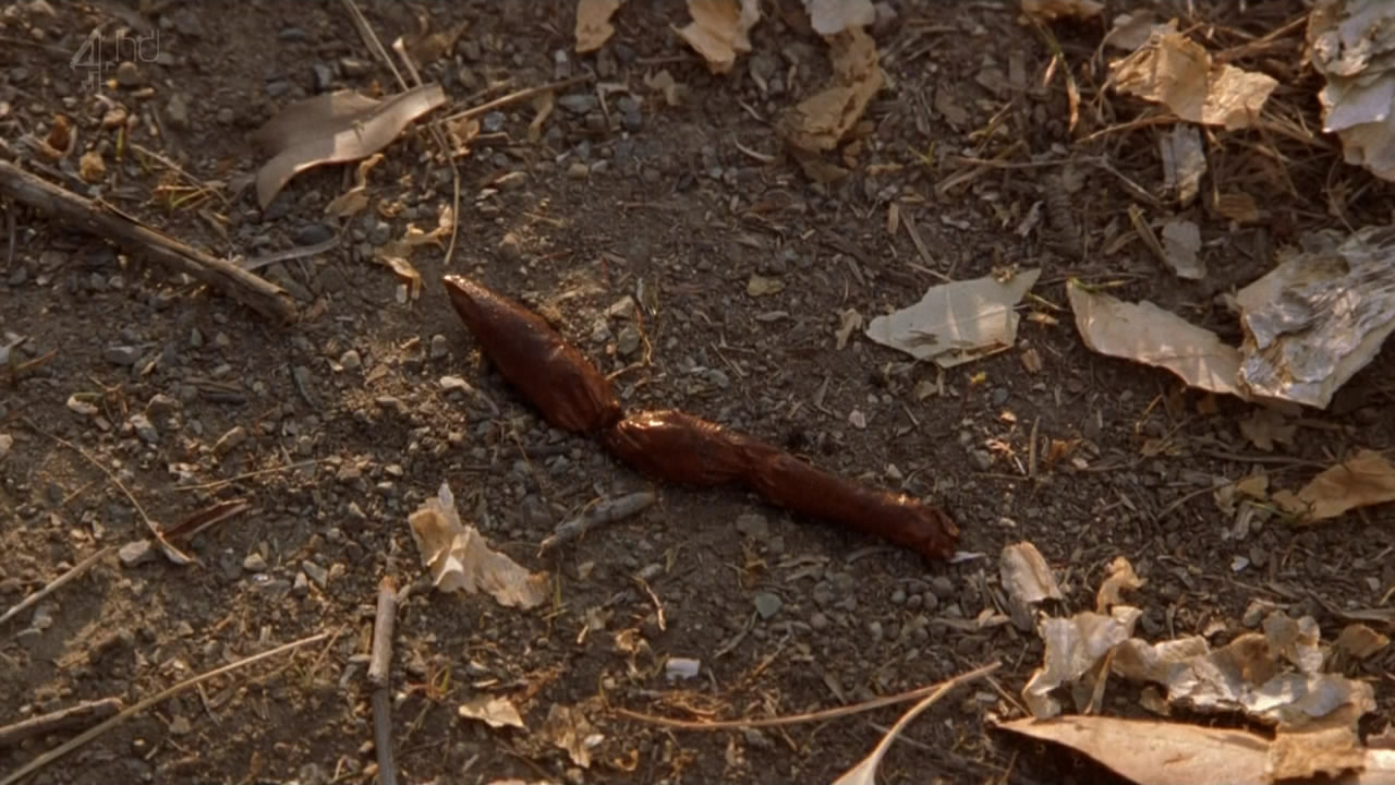 鳄鱼邓迪在洛杉矶剧照的剧照