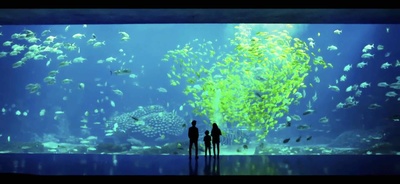 非常父子档剧照的剧照