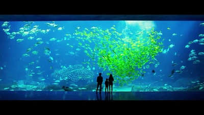 非常父子档剧照的剧照