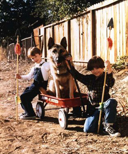 海阔天空剧照的剧照