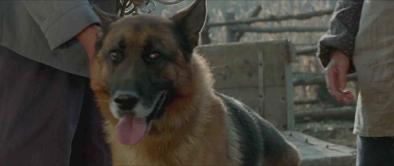 东北偏北剧照的剧照